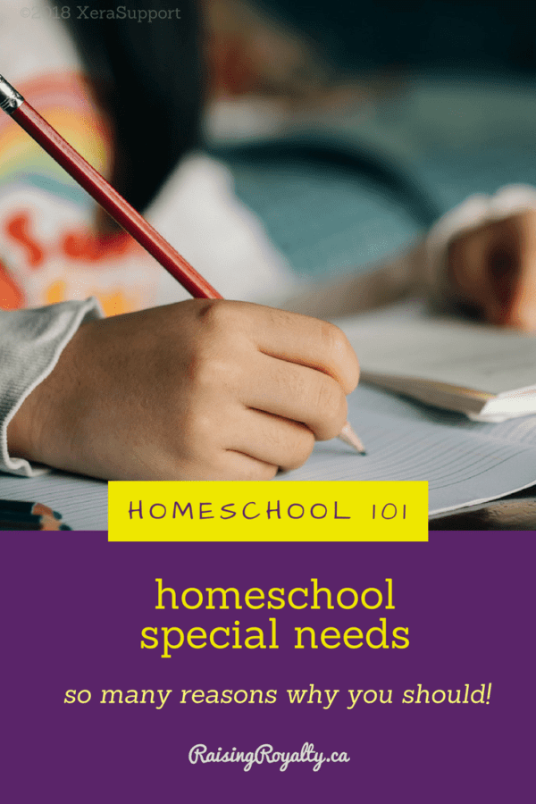 Homeschool 101: Homeschooling special needs - Raising Royalty