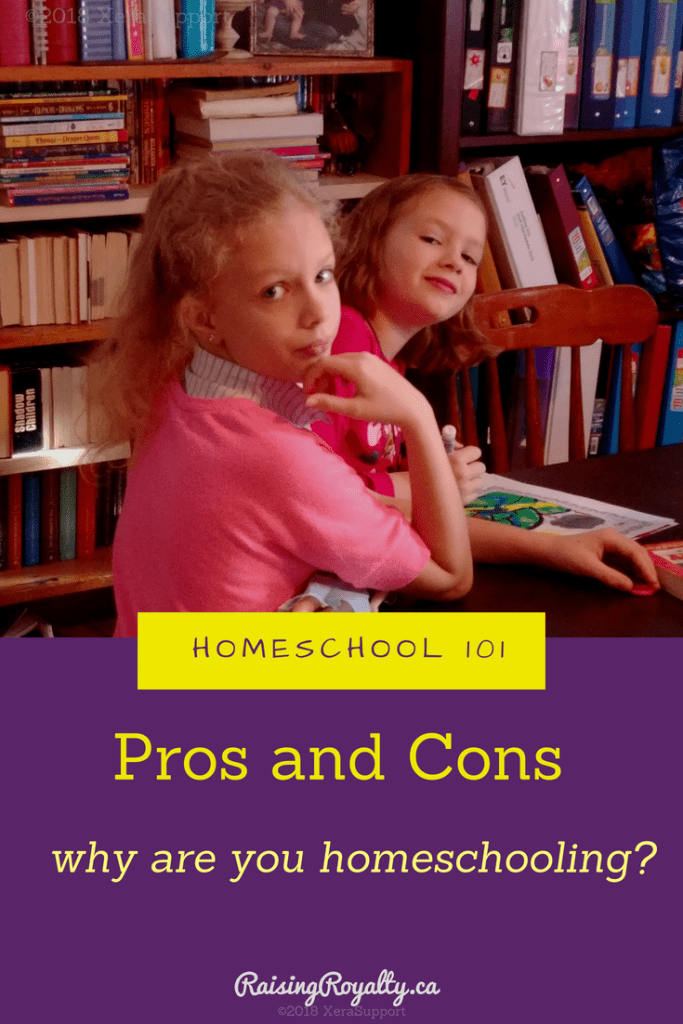 2 sisters working together shows the collaboration that is one reason someone would choose to homeschool.